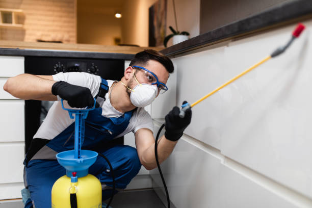 Best Exterminator Services  in Brookfield, MO