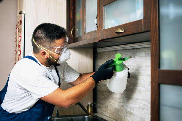 Best Best Pest Control Companies  in Brookfield, MO