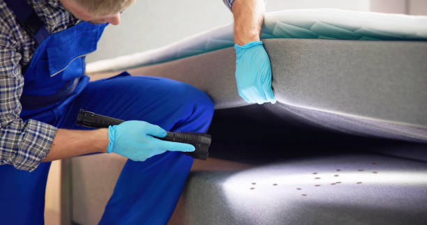 Best Exterminator Services  in Brookfield, MO