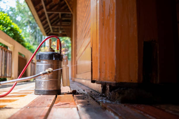 Best Pest Control for Homes  in Brookfield, MO