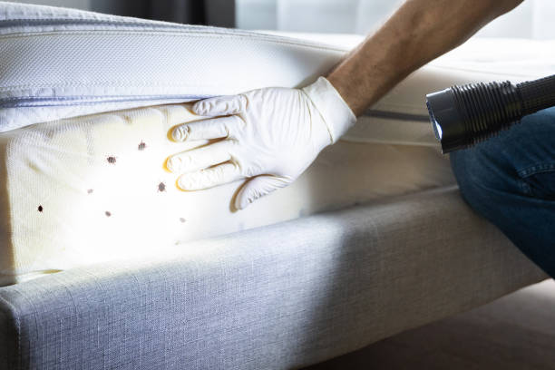 Best Pest Prevention Services  in Brookfield, MO