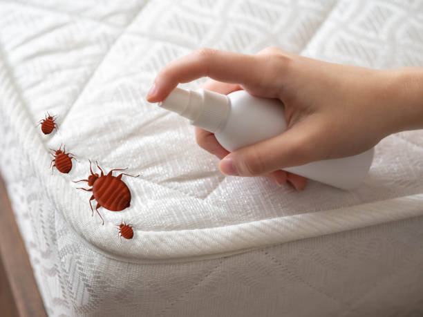 Best Affordable Pest Control Services  in Brookfield, MO