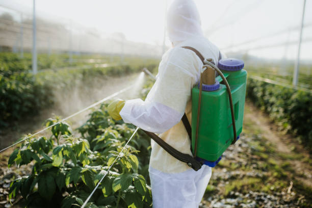 Best Ant Control Services  in Brookfield, MO